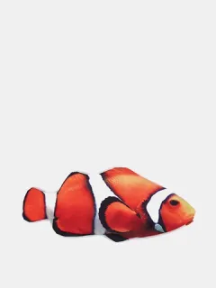 Creative Fish Shaped Pencil Bag Pencil Case